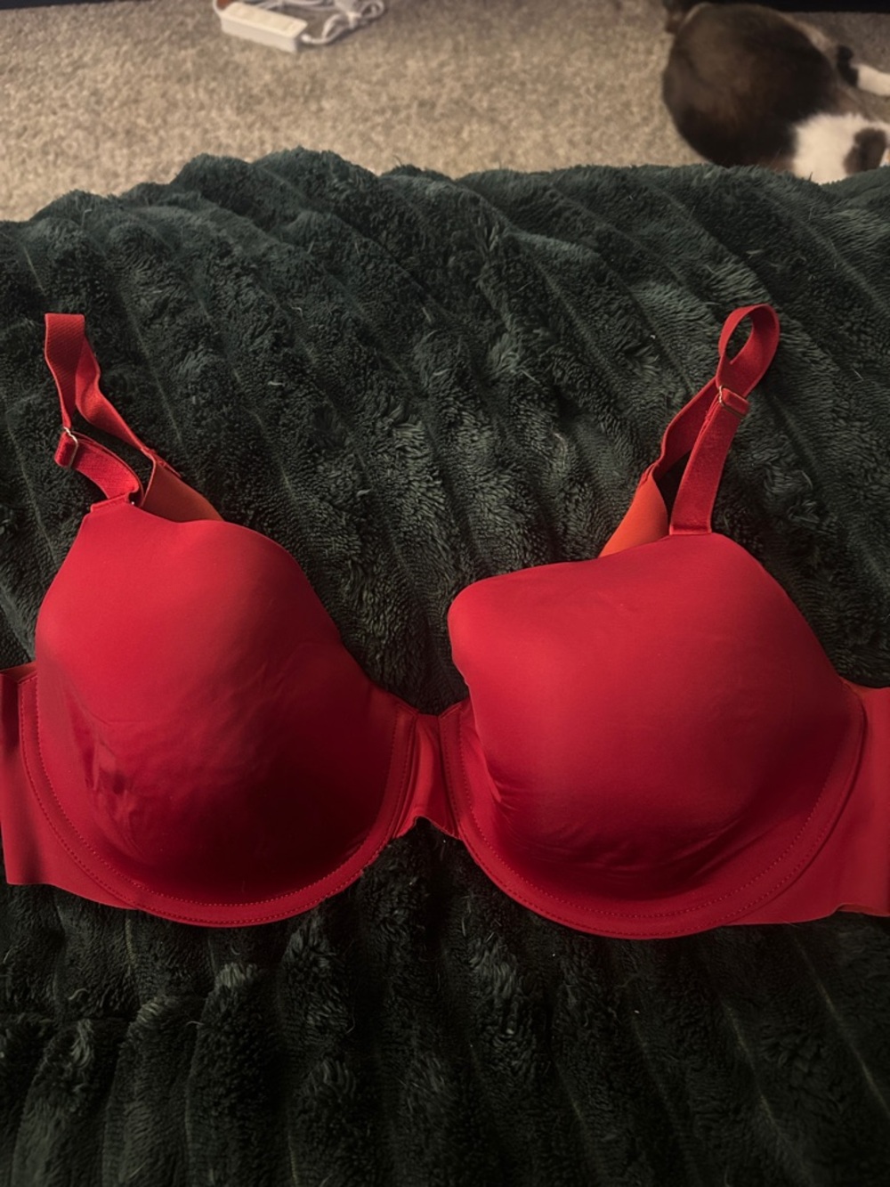 Vanishing 360 Perfect Coverage Red 36D T-Shirt Bra - Women’s Everyday Support